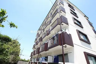 NAVONA【5階】の外観