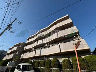 シロハイヌ小阪の画像