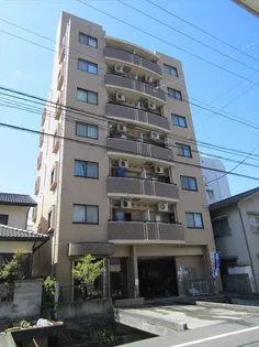 ノエル ドゥ フランドールの画像