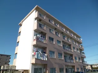 エクセルミドリの画像