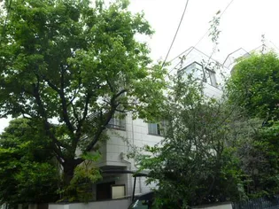 マンションカツマタの画像