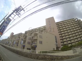 チボリ桜台ハイツ1号棟の画像