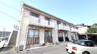 サンテ91の画像
