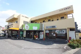 ハイツカボチャの画像