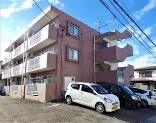 エストロゼの画像