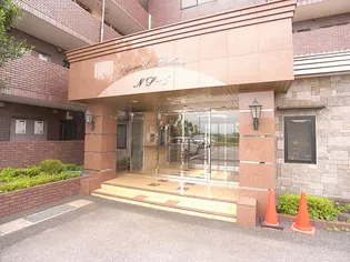 グランドパレスNS-5【4階】の外観