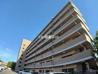 パン リーヴルの画像