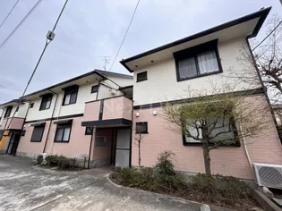 アムールの画像