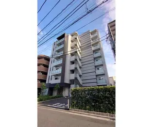 マーシスマルルの画像