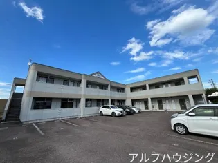アイディール Yの画像