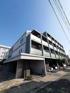 ステラフィッサの画像