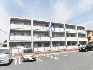 フェリーチェの画像