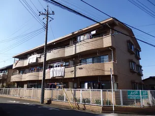 パレスサンベール 1【3階】の外観