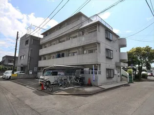 メゾンルミエールの画像