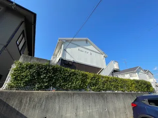 白山ハイツ B棟の画像