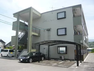 LIMPIA明金の画像