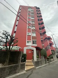 ノバカネイチ住吉の画像