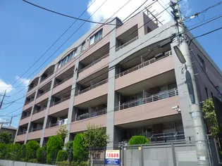 アネシスの画像