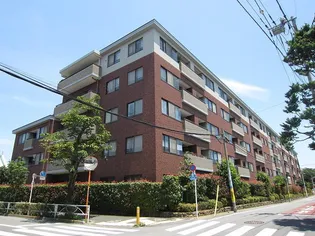 碑文谷ヒルズサレジオ通りの画像