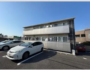 カメリア ウサの画像