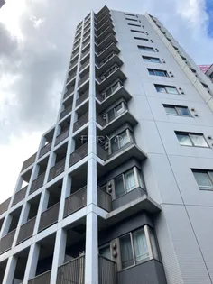 クレミエヒロイの画像