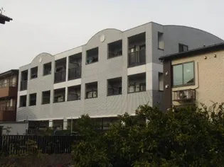 プラシードの画像