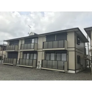 アムールアドニスⅡの画像