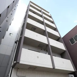 ボヌールT Yの画像