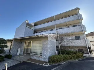 C'S28 KOYATAの画像