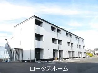 STEP FORTEの画像