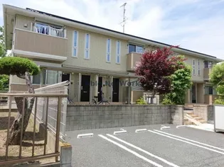 ボナールSの画像