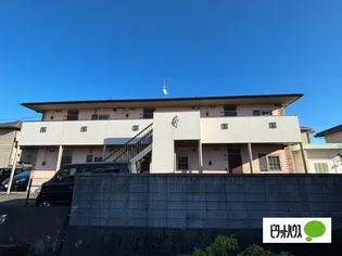 わんダフルの画像