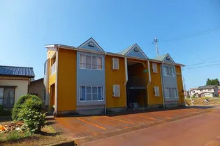 コンフォート グリーンの画像