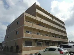 グリーン パロットの画像