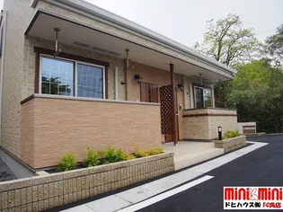 ヴィオラの画像