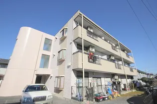 パインランドシティの画像