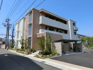 ボン ショーンスの画像