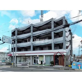 パイン リバーIの画像