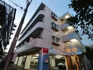 CADOG LILYの画像