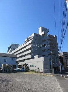 ベイ ドルフィンの画像