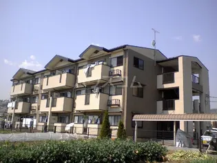 白蔵 IV【3階】の外観