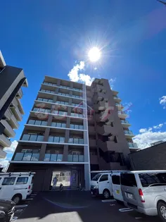 RISOIEーCINQの画像