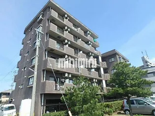 フィールドフォーの画像