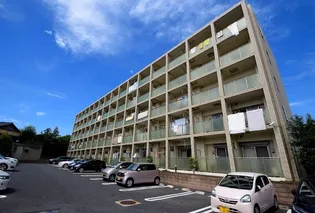 オーベルコートの画像