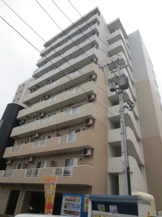 セントポーリアカルーアの画像