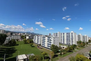 UR新木の花の画像