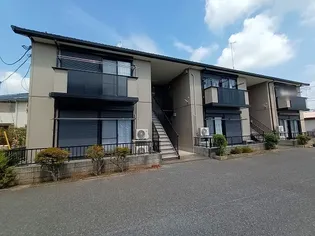 アムールの画像