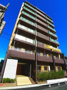 ELVITAの画像