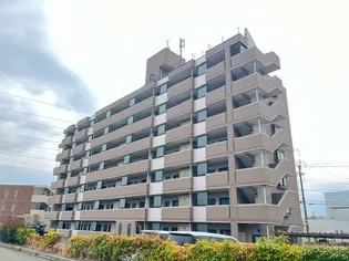 フォンティーヌ スガワラの画像