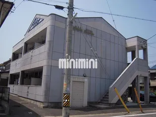 ハイツラベンダーの画像